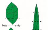 地环所揭示植物叶片内部叶片水和叶蜡氢同位素时空分布特征