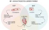 从淋巴瘤放射治疗的心脏毒性，聊聊淋巴瘤心脏保护